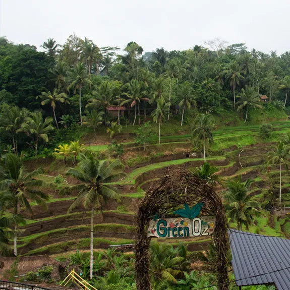 Buying Trip to Bali and Thailand 2022-Siesta Crafts Blog