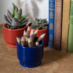 Thai Twig Pencils - Pack of 10-Office & Stationery-Siesta Crafts