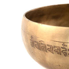 Mustang Carved Singing Bowl-Singing Bowls-Siesta Crafts