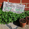 Witch's Garden Plaque-Home Décor-Siesta Crafts