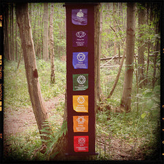Chakra Scroll-Textiles-Siesta Crafts