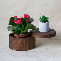 Log Box with Sliding Lid-Storage & Organisation-Siesta Crafts