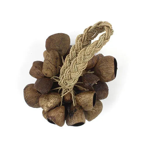 Stringed Seed Shaker-Shakers-Siesta Crafts