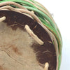 Caxixi Straw Shaker-Shakers-Siesta Crafts