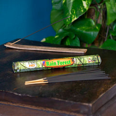 Rain Forest Hexagon Incense-Stick Incense-Siesta Crafts