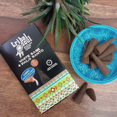 White Sage and Palo Santo Backflow Incense Cones-Cone Incense-Siesta Crafts