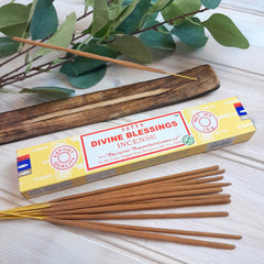 Satya Divine Blessings Incense-Stick Incense-Siesta Crafts