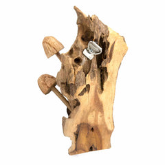 Wall Mushroom Carvings - Small-Ornaments & Figurines-Siesta Crafts