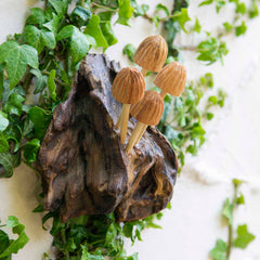 Wall Mushroom Carvings - Small-Ornaments & Figurines-Siesta Crafts