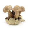 Small Parasite Wood Mushrooms-Ornaments & Figurines-Siesta Crafts