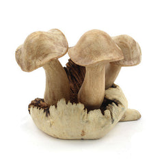 Small Parasite Wood Mushrooms-Ornaments & Figurines-Siesta Crafts