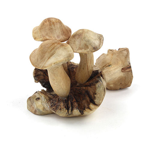 Small Parasite Wood Mushrooms-Ornaments & Figurines-Siesta Crafts