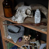 Hand Carved Wand-Magic & Mysticism-Siesta Crafts