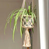 Macrame Plant Hanger-Plant Pots, Vases & Hangers-Siesta Crafts