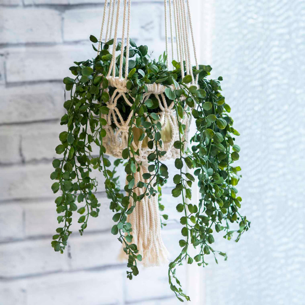 Macrame Plant Hanger-Plant Pots, Vases & Hangers-Siesta Crafts