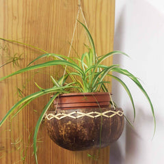 Coconut Plant Hanger-Plant Pots, Vases & Hangers-Siesta Crafts