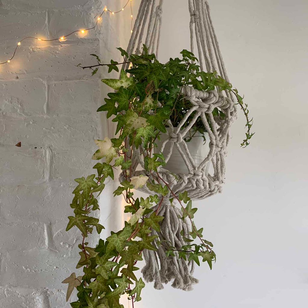 Extra Large Macrame Plant Hanger-Plant Pots, Vases & Hangers-Siesta Crafts