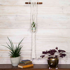 Wall Macrame Plant Hanger-Plant Pots, Vases & Hangers-Siesta Crafts