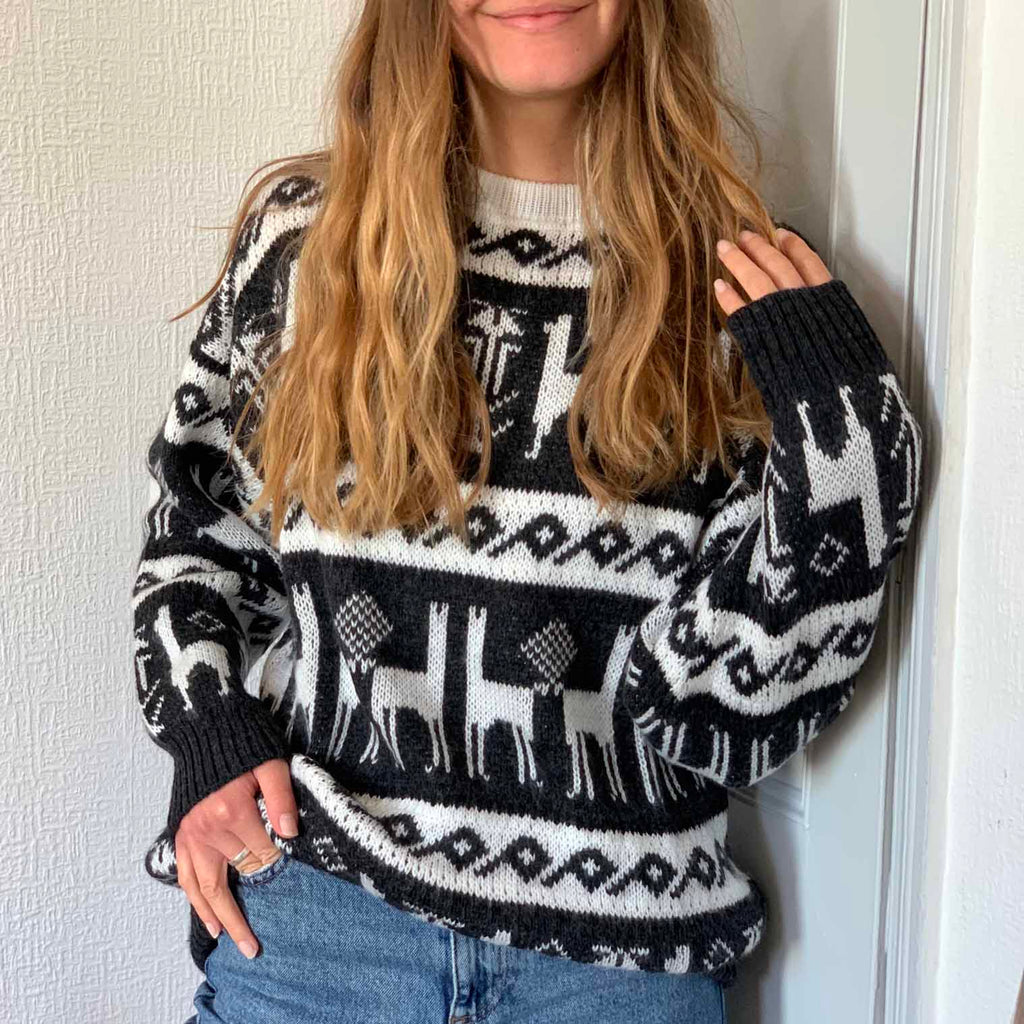 Flock of Llamas Jumper-Jumpers, Hoodies & Cardigans-Siesta Crafts