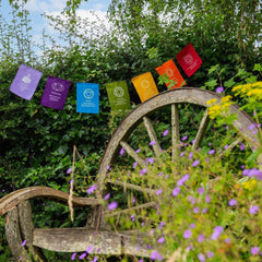 Chakra Prayer Flags-Home Décor-Siesta Crafts