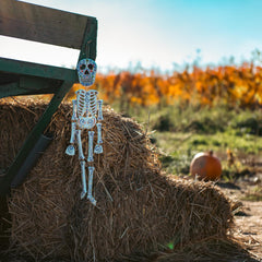 Candy Skeleton-Home Décor-Siesta Crafts