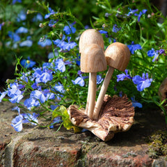 Parasite Wood Mushrooms-Ornaments & Figurines-Siesta Crafts