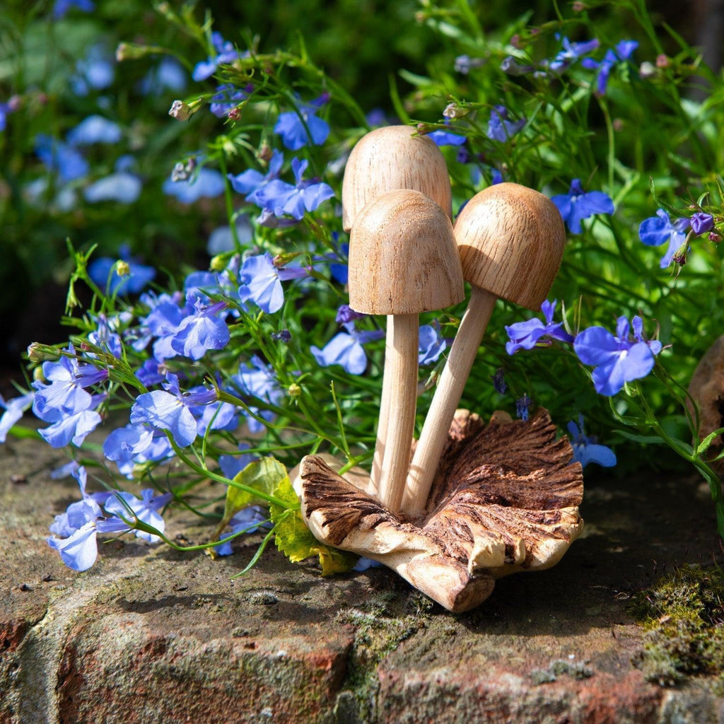Parasite Wood Mushrooms-Ornaments & Figurines-Siesta Crafts