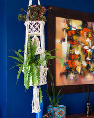 Double Macrame Plant Hanger-Plant Pots, Vases & Hangers-Siesta Crafts