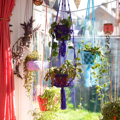 Bright Macrame Plant Hanger-Plant Pots, Vases & Hangers-Siesta Crafts