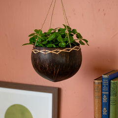 Coconut Plant Hanger