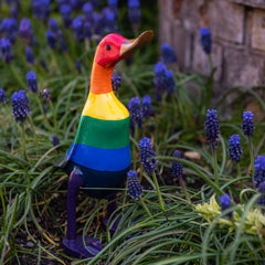 Rainbow Duck-Ornaments & Figurines-Siesta Crafts