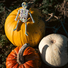 Candy Skull Small Skeleton-Home Décor-Siesta Crafts