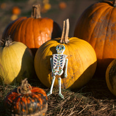 Candy Skull Small Skeleton-Home Décor-Siesta Crafts