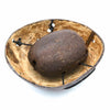 Coconut Seed Knocker-Taps & Scrapes-Siesta Crafts