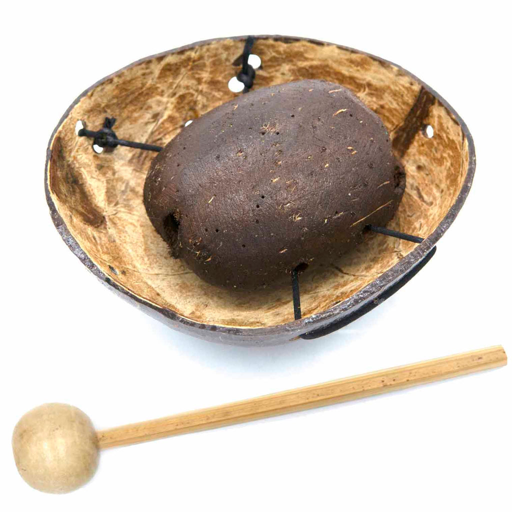 Coconut Seed Knocker-Taps & Scrapes-Siesta Crafts