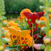 Butterfly Stick Garden Ornament-Ornaments & Figurines-Siesta Crafts