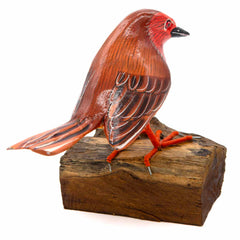 Robin on a Stand