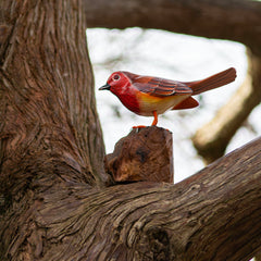 Robin on a Stand-Ornaments & Figurines-Siesta Crafts