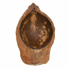 Coconut Husk Dish-Bathroom-Siesta Crafts