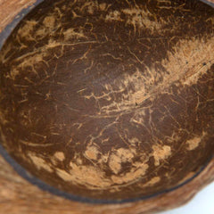 Coconut Husk Dish-Bathroom-Siesta Crafts