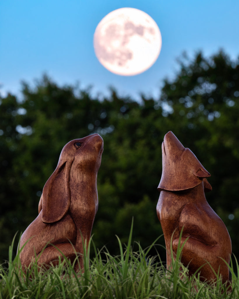 Moon Gazing Hare Woodcarving - Large-Ornaments & Figurines-Siesta Crafts
