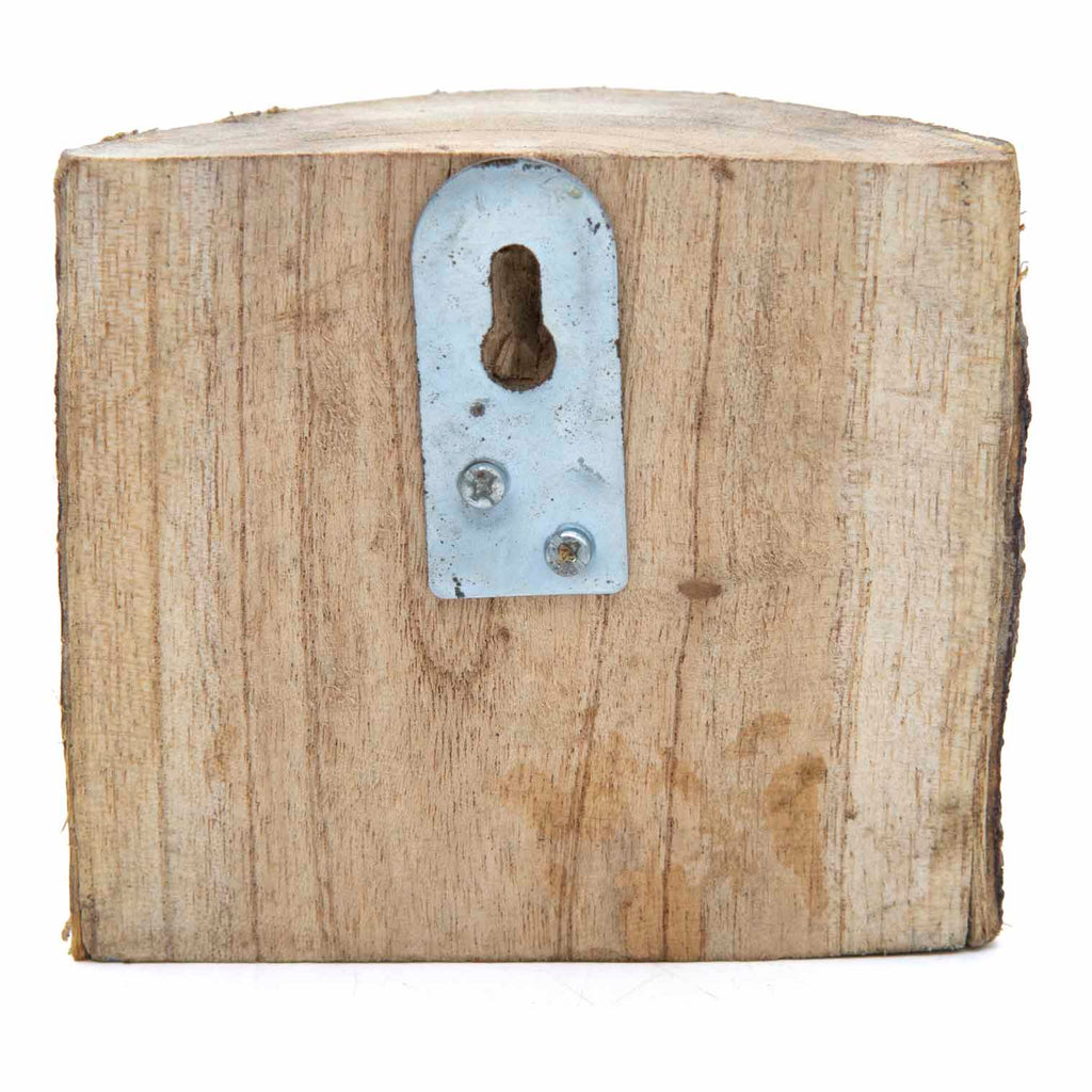 Owl in Wood-Ornaments & Figurines-Siesta Crafts