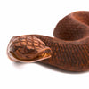 Snake Woodcarving-Ornaments & Figurines-Siesta Crafts