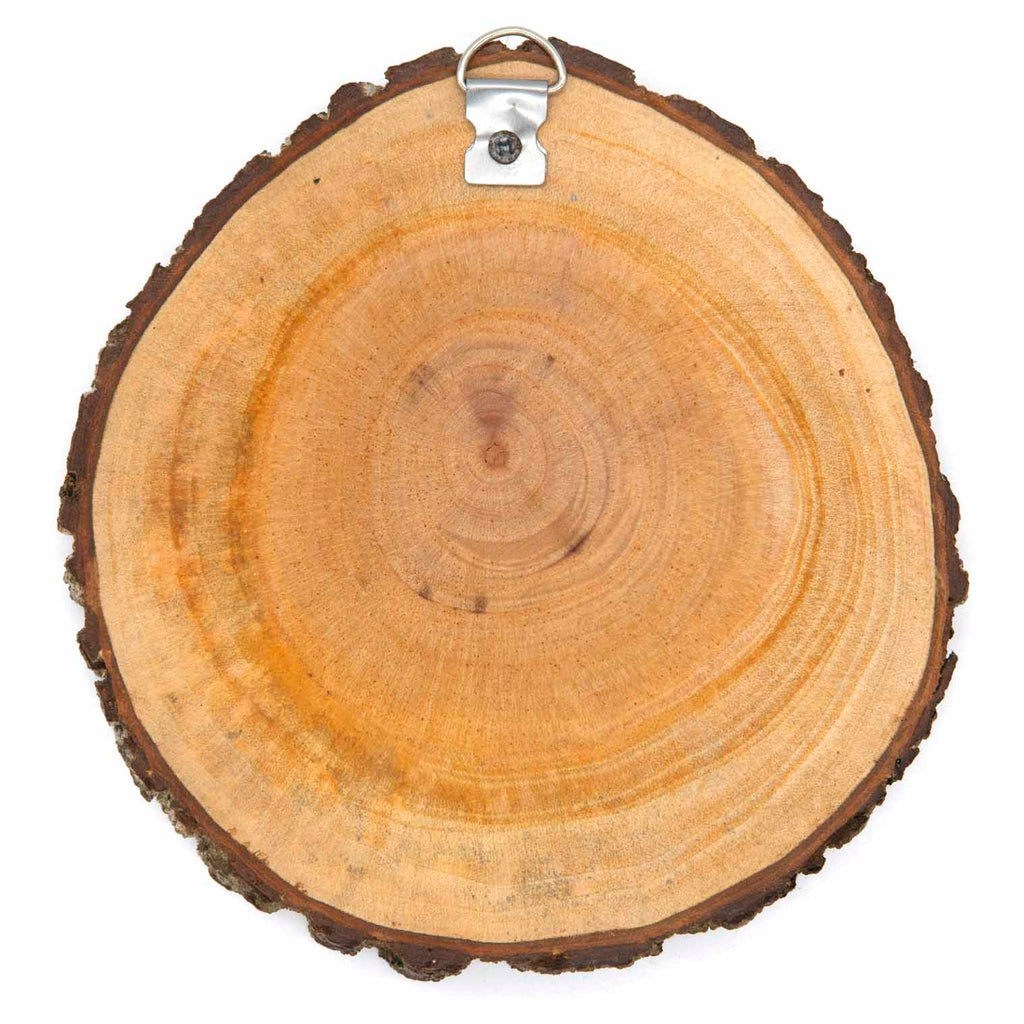 Beehive Plaque-Home Décor-Siesta Crafts