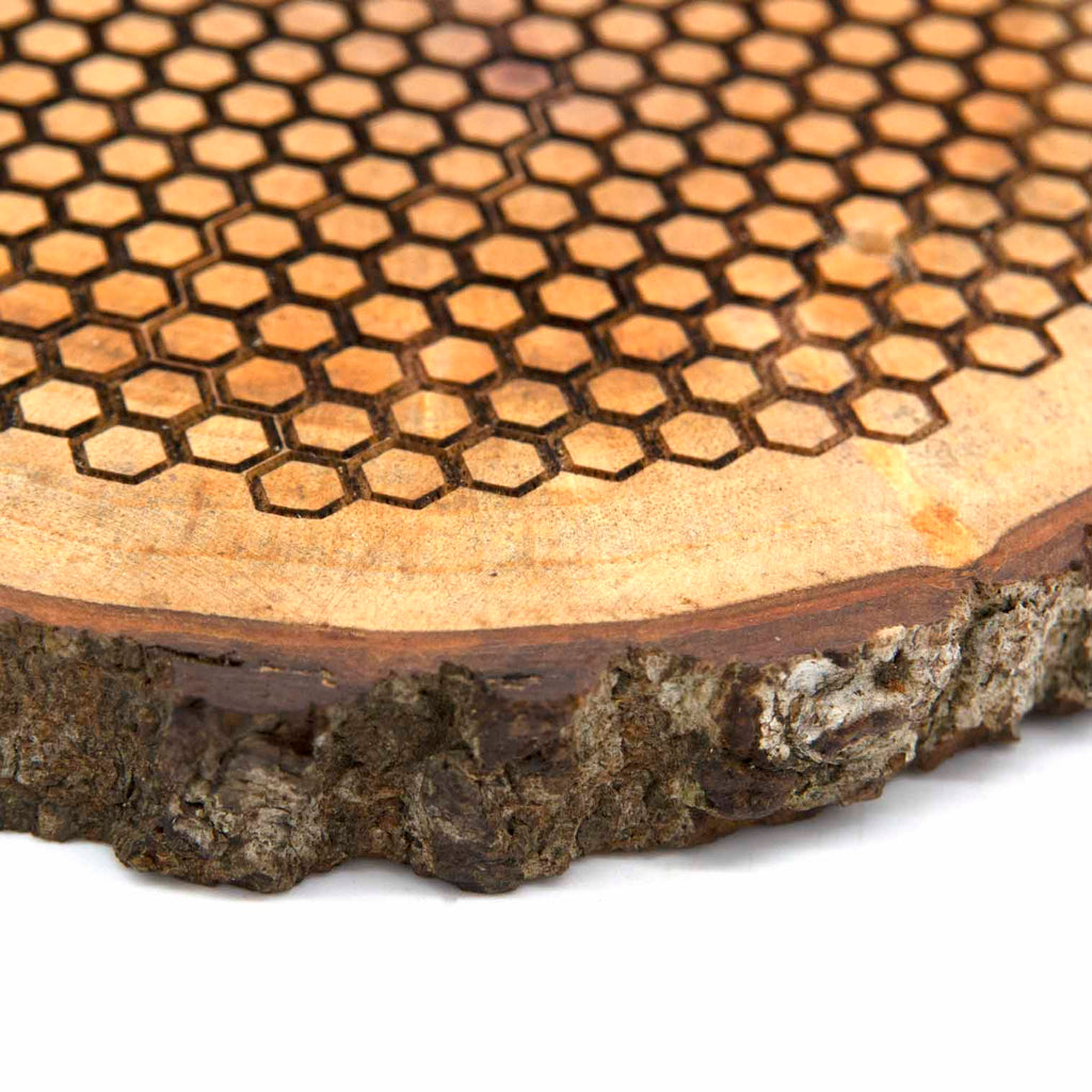 Beehive Plaque-Home Décor-Siesta Crafts