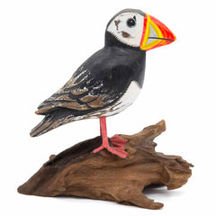 Puffin on Driftwood