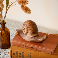 Snail Carving Large-Ornaments & Figurines-Siesta Crafts