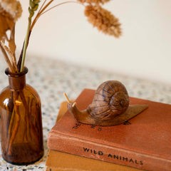 Snail Carving Small-Ornaments & Figurines-Siesta Crafts