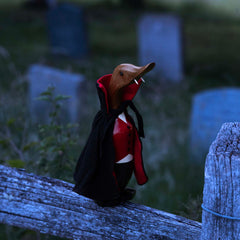 Vampire Duckling