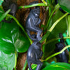 Hanging Monkeys-POS Boxes-Siesta Crafts